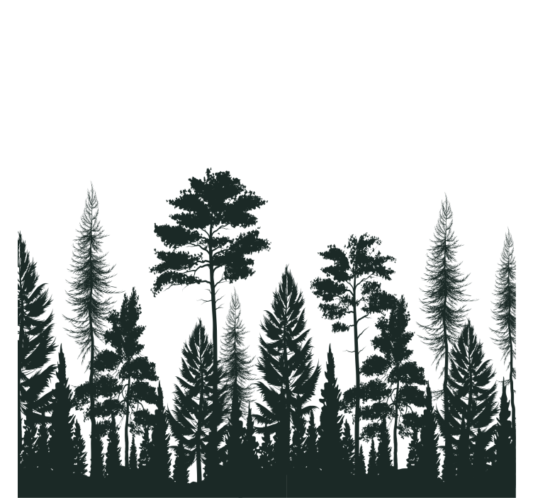 Pine trees silhouette  texture coaster - TenStickers