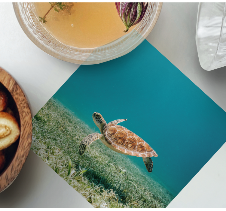 Baby turtle swimming modern coaster - TenStickers