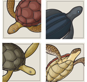 Variety of Turtles Tile Coaster Set - TenStickers