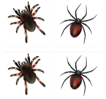 Halloween coasters spooky spider collection - TenStickers