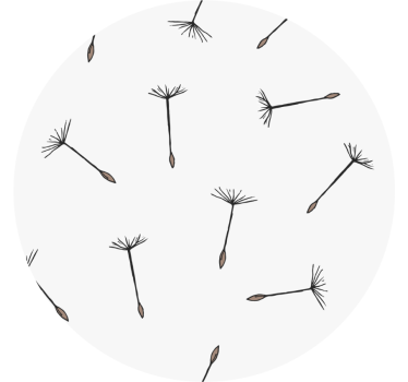 Minimalistic dandelions modern drink coaster - TenStickers
