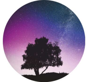 Lonely tree and meteor modern drink coaster - TenStickers