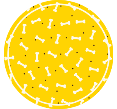 Geek coasters bone pattern round - TenStickers