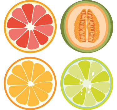 Geek coasters fruit slice coasters - TenStickers
