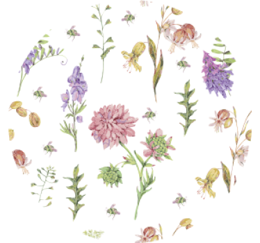 Coasters with floral patterned accents - TenStickers