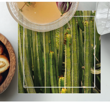 Cactus texture surface coasters - TenStickers
