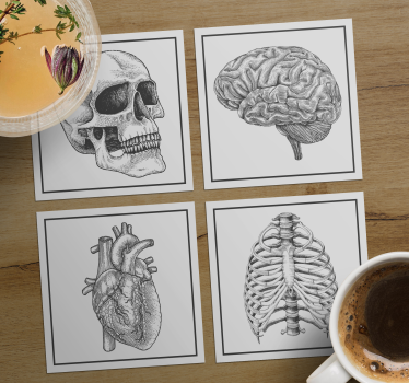 Geek coasters anatomical skull brain heart skeleton - TenStickers