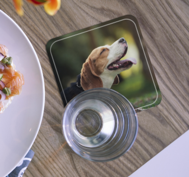 Personalised Dog Photo beer mats - TenStickers