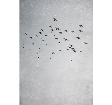 Birds flying animal design wall art poster - TenStickers