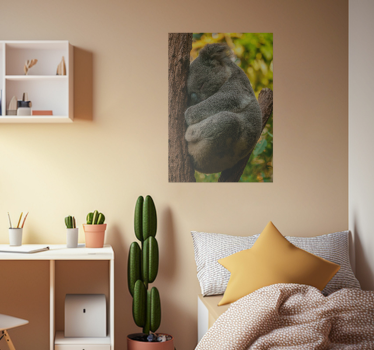 Koala is sleeping poster for teenager - TenStickers