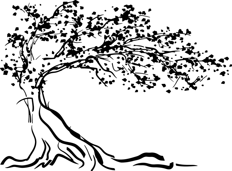 Tree poster with decorative wind design - TenStickers