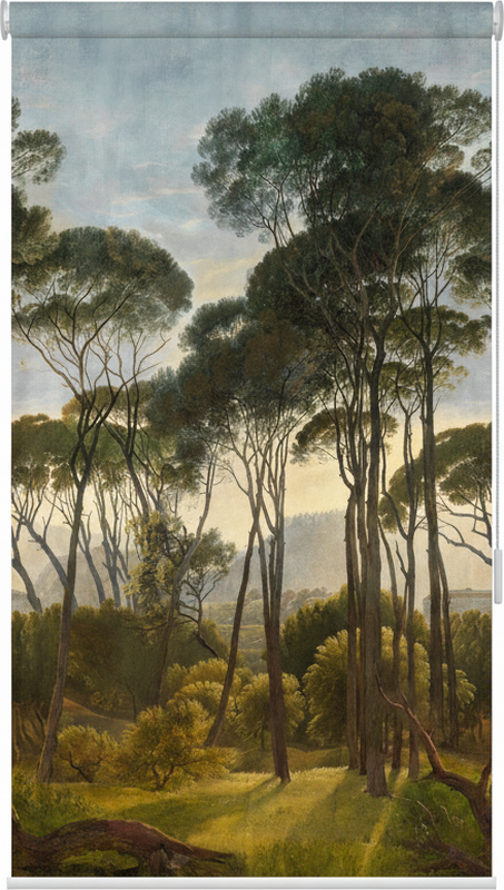 Tree poster of soft tropical palms - TenStickers