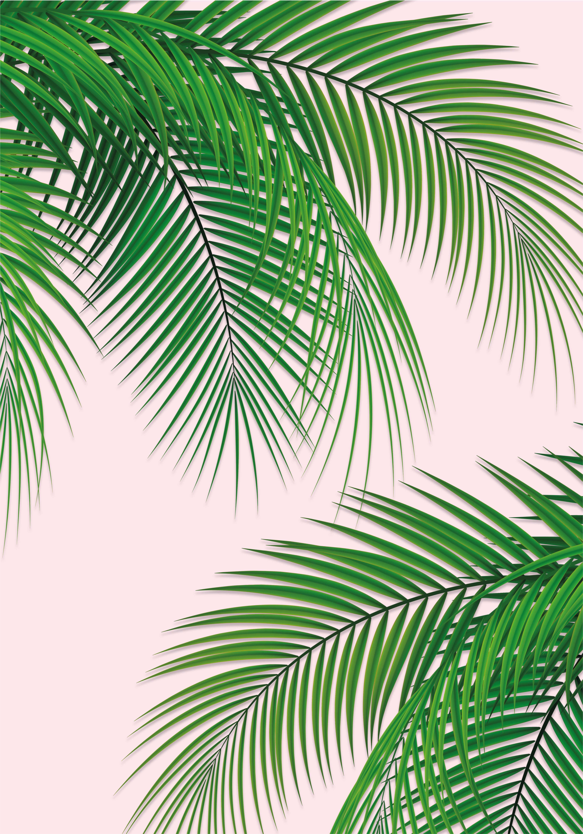 Tropical Leaf wall poster - TenStickers