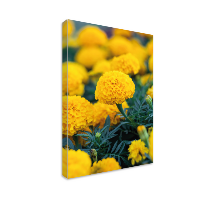 3D rama flores naranjas 3D canvas prints - TenStickers