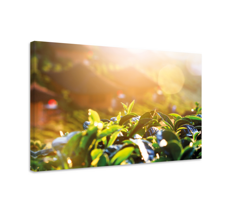 Flowers canvas morning tea leaves - TenStickers