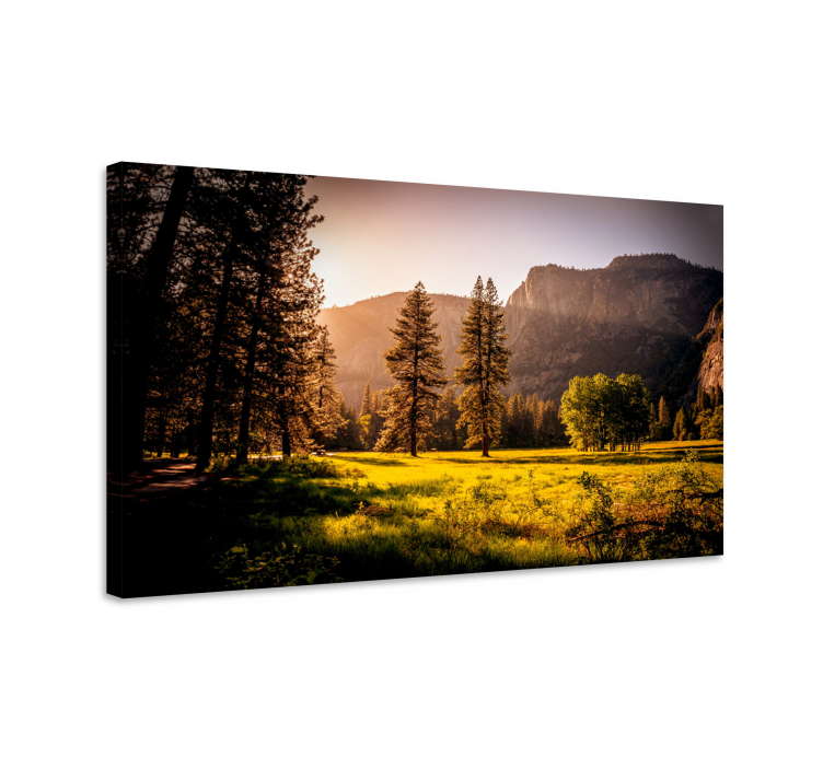 Mountain view sun grass landscape canvas - TenStickers