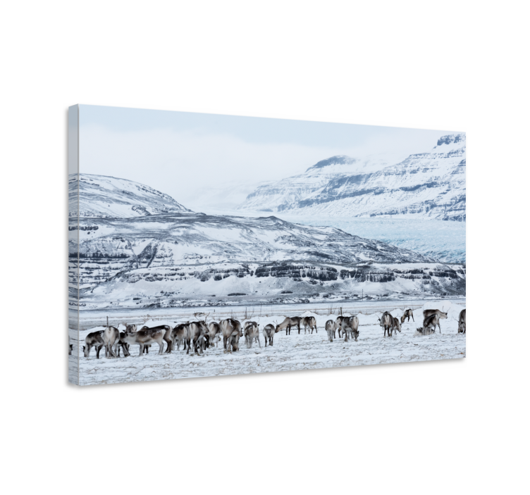 Deer snowy landscape Stag canvas - TenStickers