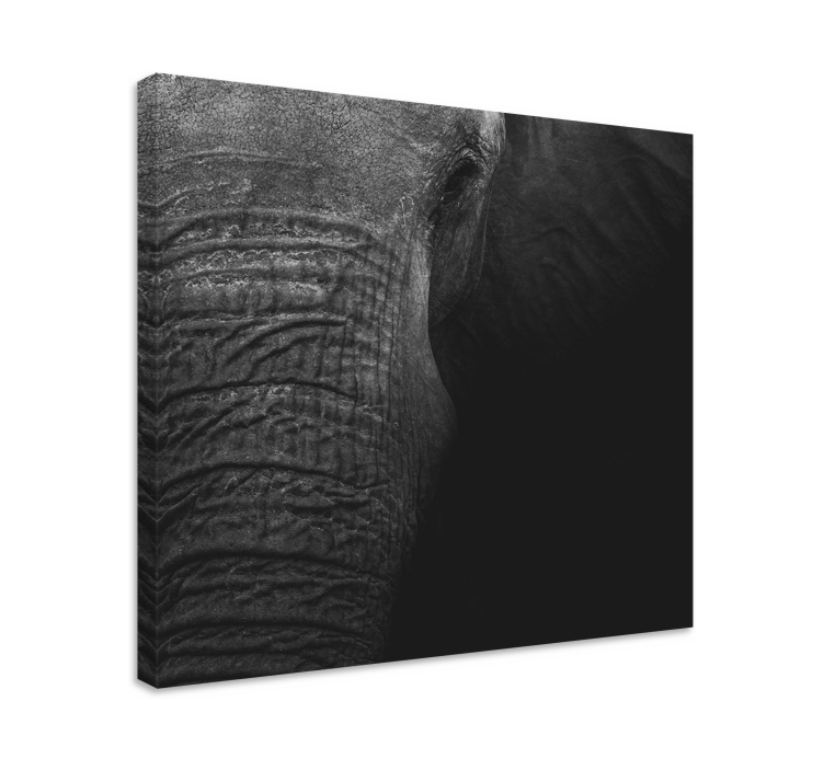 Elegant dark olifant  elephant canvas - TenStickers