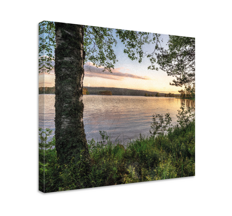 A forest by the lake landscape canvas - TenStickers