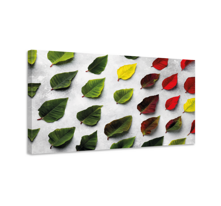 Top view colorful leaves Plant canvas prints - TenStickers