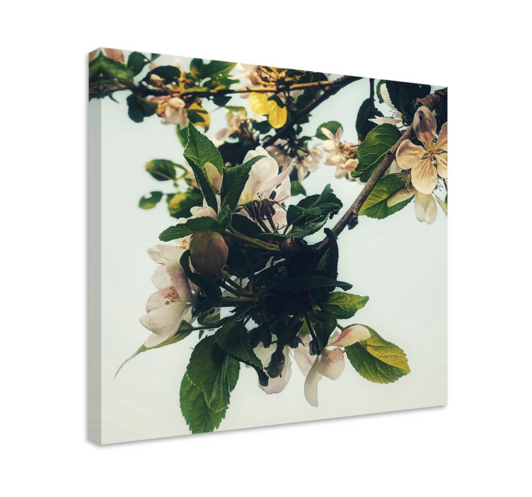 Flowers canvas blooming apple branch artwork - TenStickers