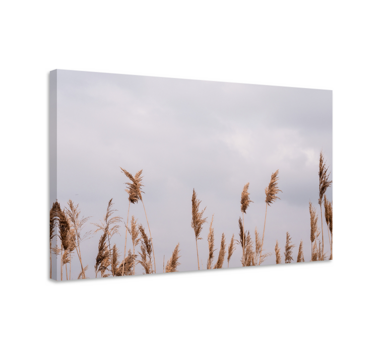 Flowers canvas tall grass stalks artwork - TenStickers