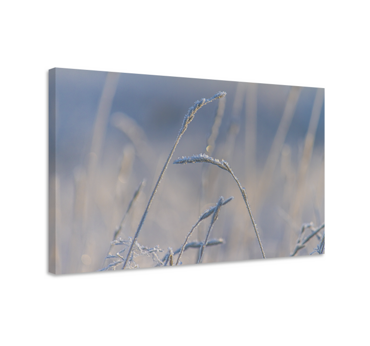 Flowers canvas frosty grass stems artwork - TenStickers