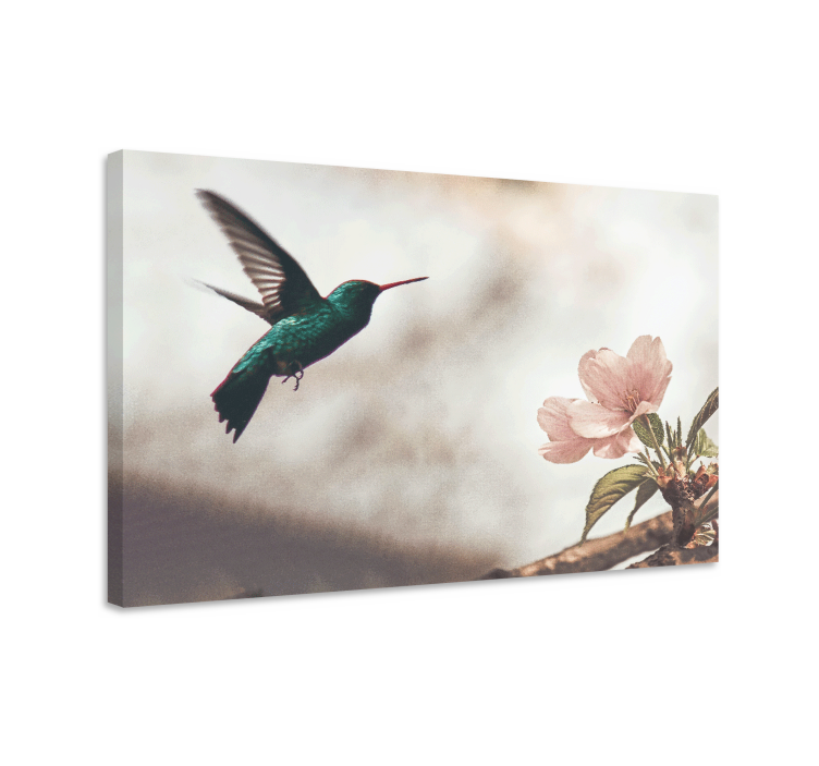 Hummingbird and blossoms bird canvas wall art - TenStickers