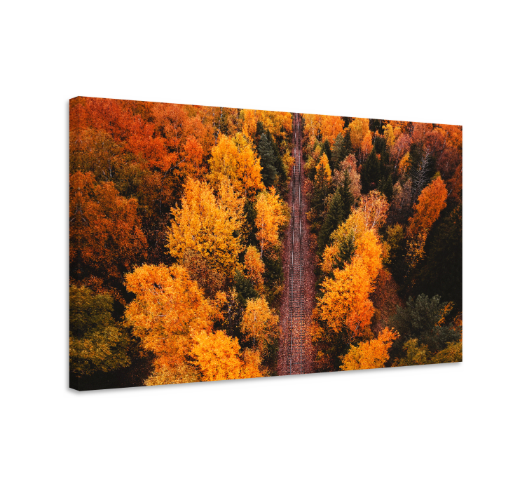 Aerial photo forest trees wall canvas - TenStickers