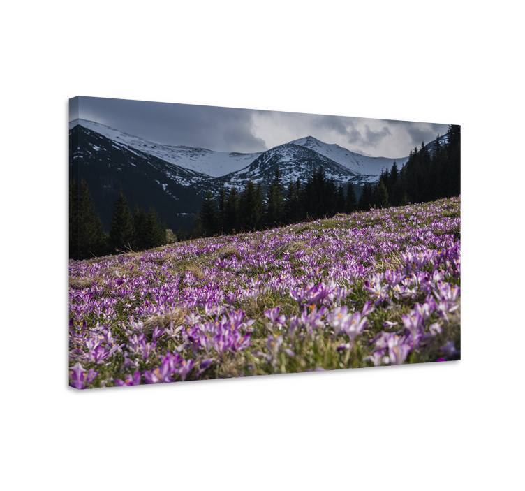 Flowers canvas purple flowering meadow - TenStickers