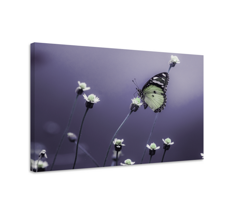 Butterfly canvas butterfly among flowers - TenStickers