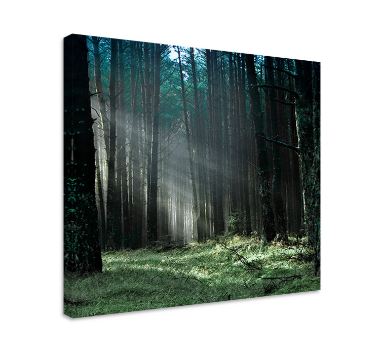 MYSTICAL FOREST LIGHT tree canvas wall art - TenStickers