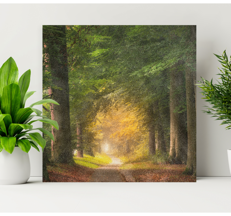 A walk through the forest landscape canvas - TenStickers
