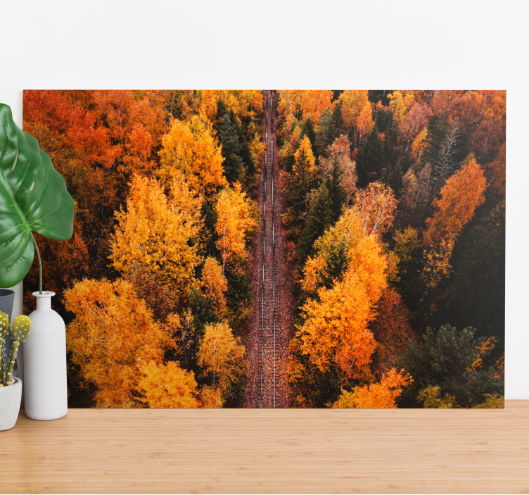 Aerial photo forest trees wall canvas - TenStickers