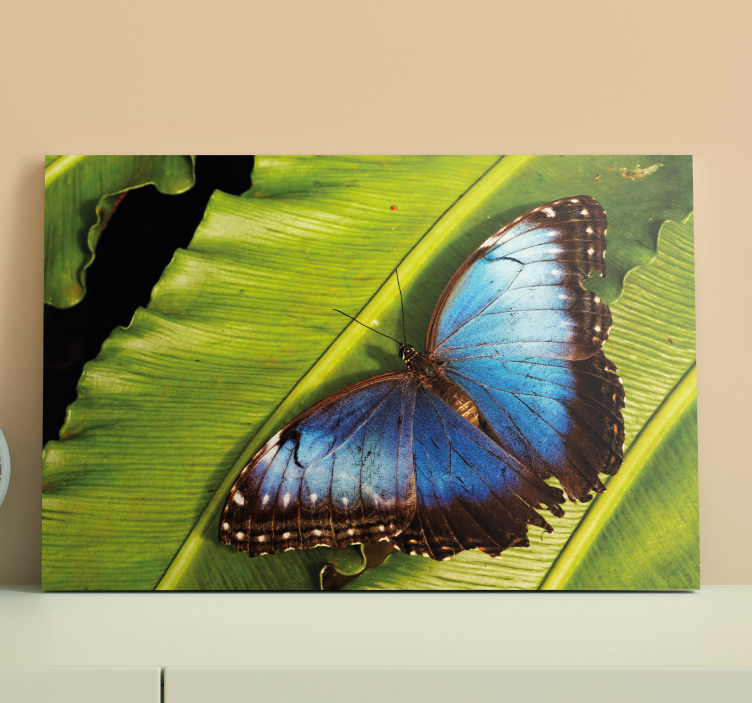 blue butterfly detail butterfly canvas wall art - TenStickers