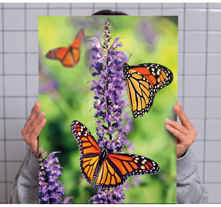 Butterfly canvas monarch butterflies gathering - TenStickers