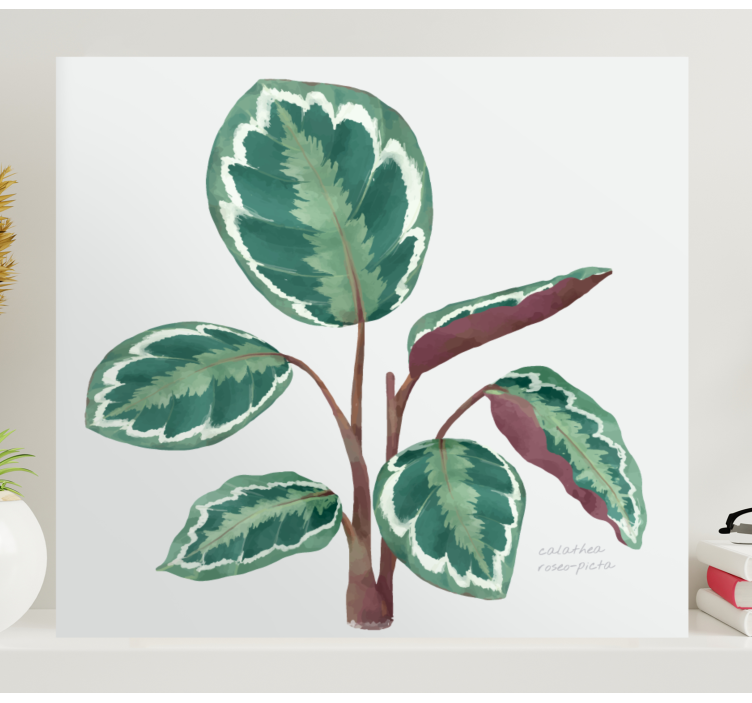Calathea plant  canvas prints - TenStickers