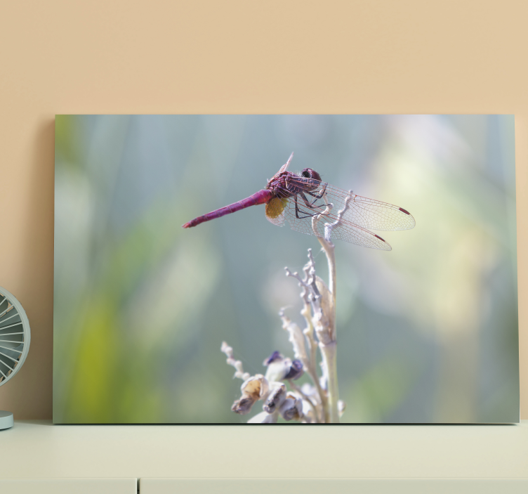 Delicate flower with dragonfly canvas - TenStickers