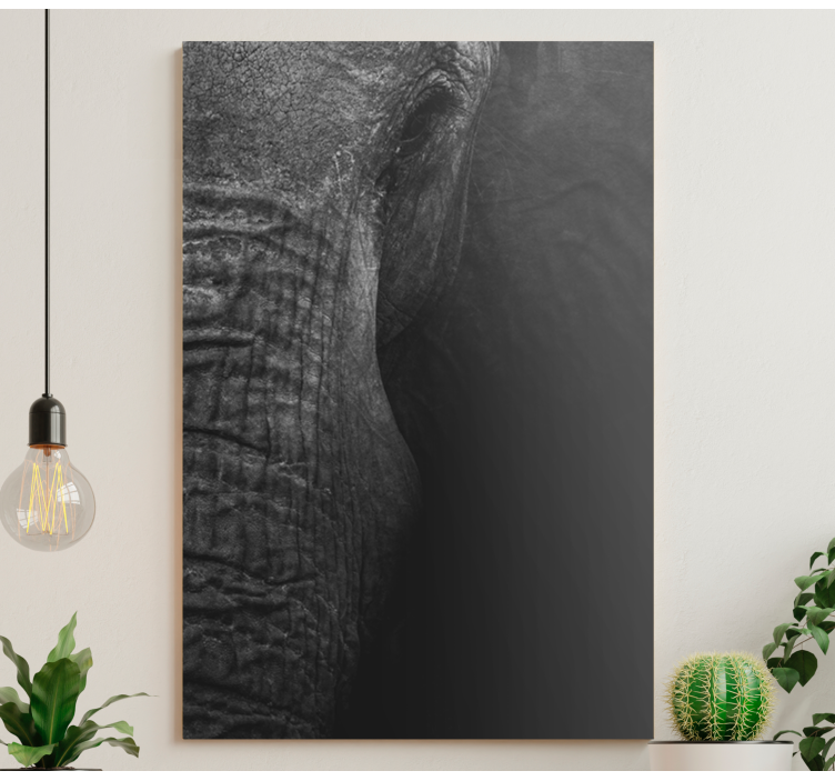 Elegant dark olifant  elephant canvas - TenStickers