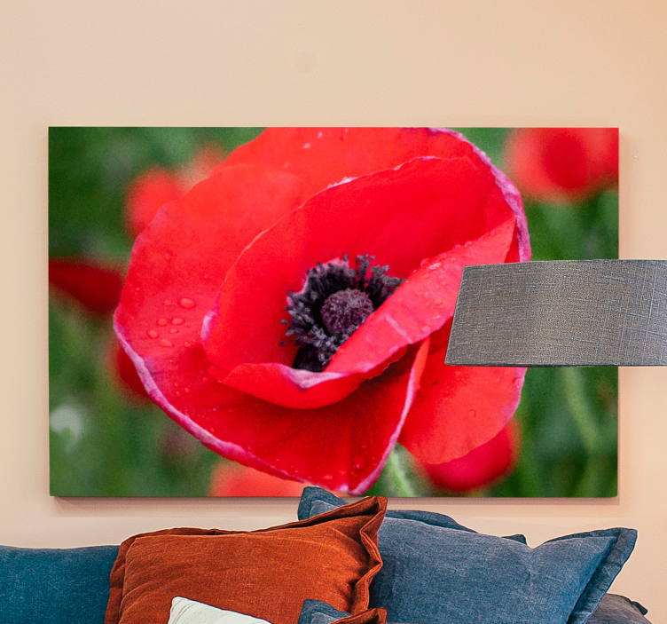 Flower canvas close-up poppy bloom - TenStickers