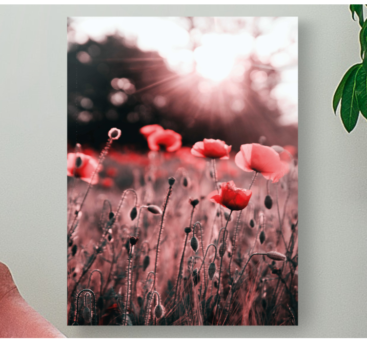 Flowers canvas poppy meadow glow - TenStickers