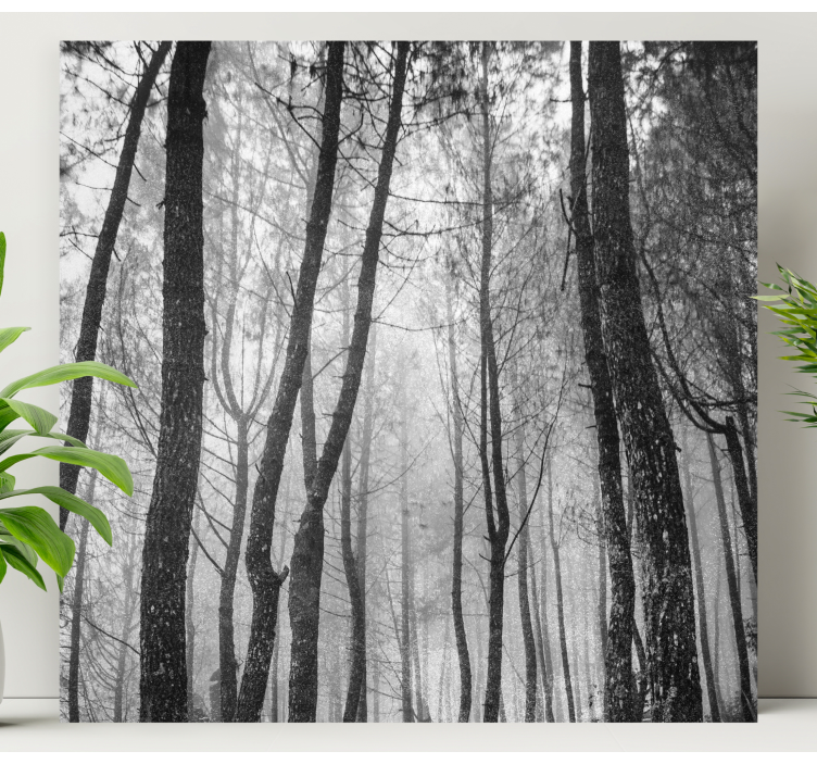 Foggy forest from above landscape canvas - TenStickers