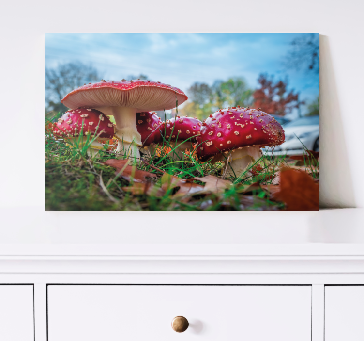 Red fly mushroom canvas art prints - TenStickers
