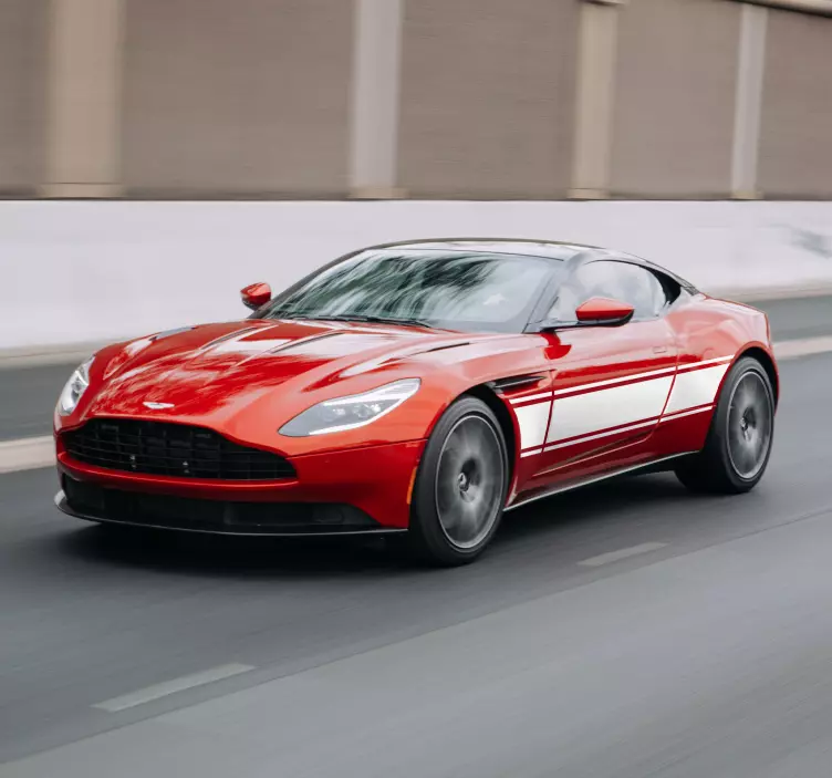 Custom rally stripe car sticker - TenStickers