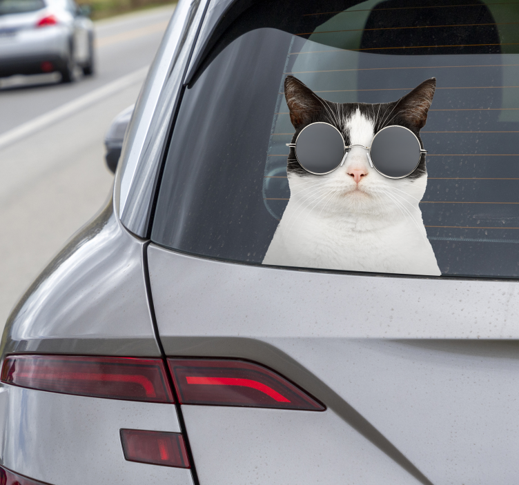 cat with sunglasses car decal - TenStickers