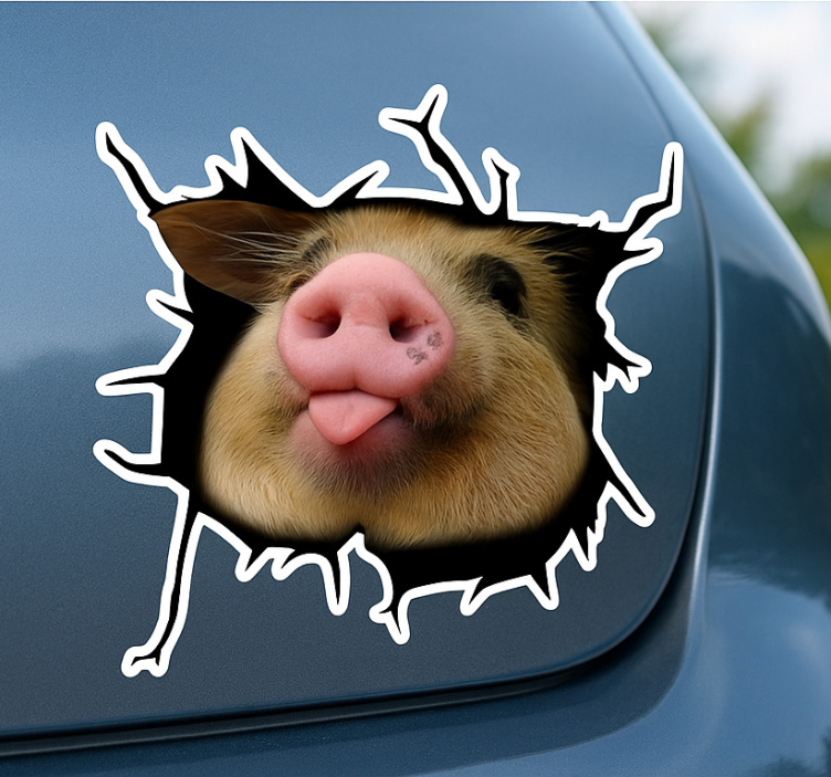 Funny Pig 3D Crack car decal - TenStickers