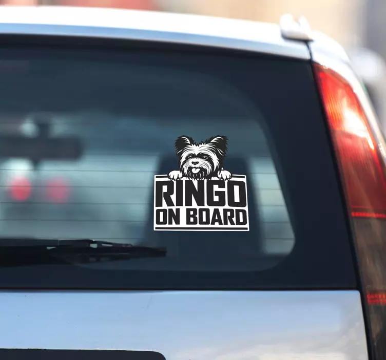 Nice Yorkshire dog peeking car sticker - TenStickers