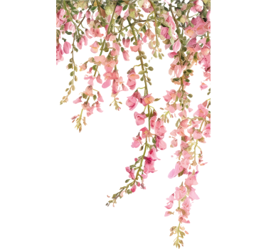 Rose sticker door sticker - TenStickers