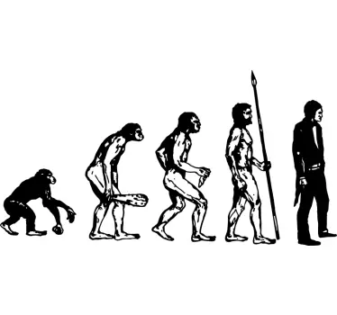 Human Evolution Wall Sticker - TenStickers