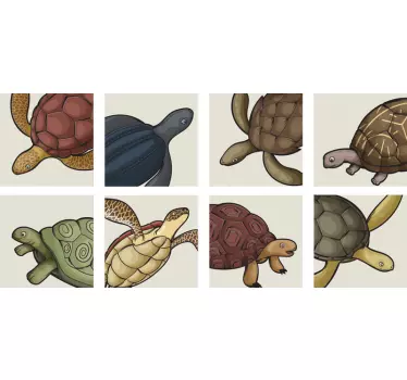 variety of turtles tile transfer - TenStickers